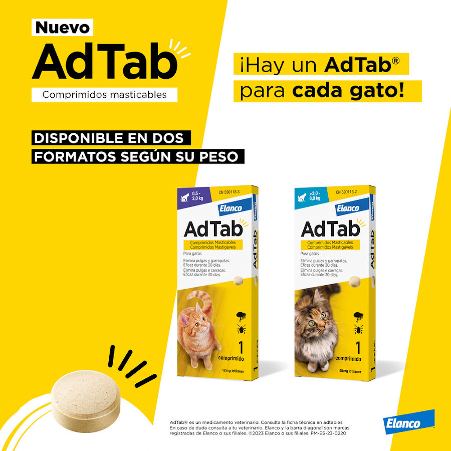 Comprimidos antiparasitários mastigáveis AdTab para gatos