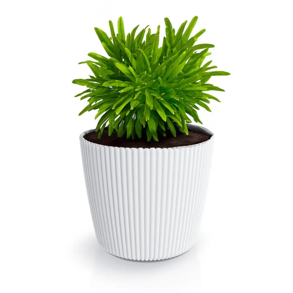 Prosperplast Plantenpot Buckingham - ivoor wit - D19 cm