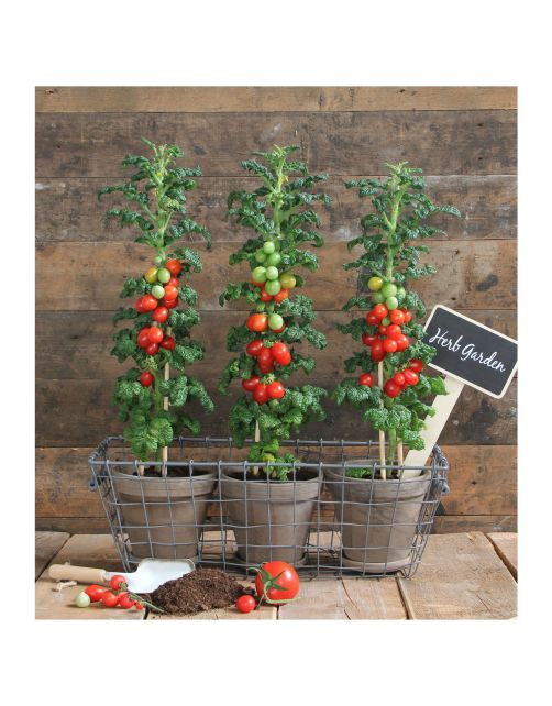 Mica Decorations Terracotta Pot Met Schotel Set Van 3 - Bloempotsets - 41x14x12 cm Grijs
