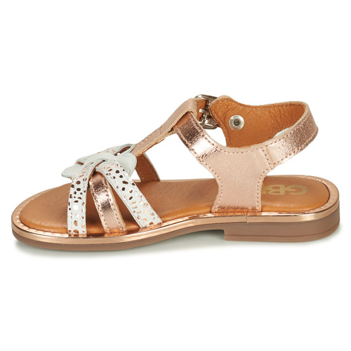 GBB - EGEA - Rose