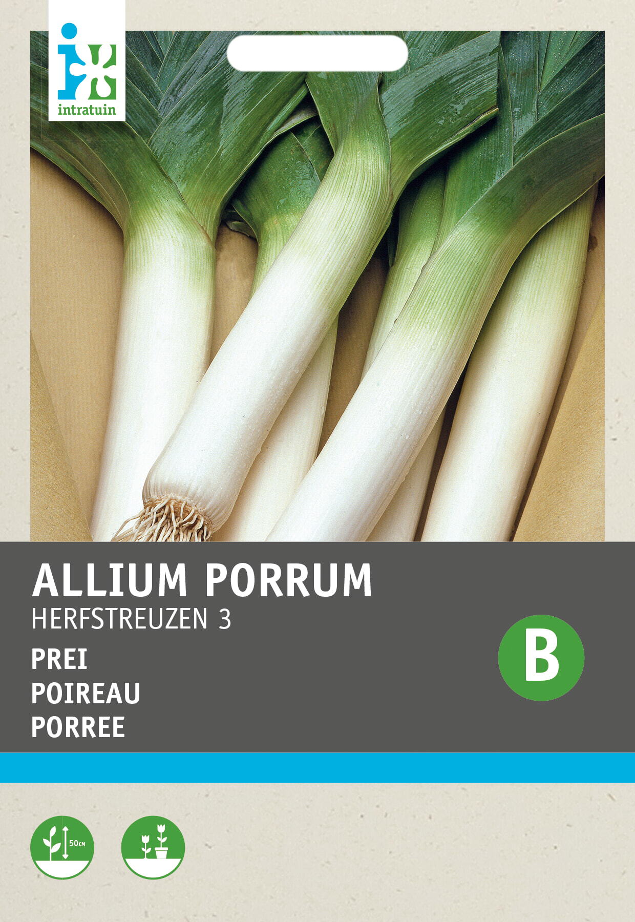 Intratuin groentezaad Prei (Allium porrum 'Herfstreuzen')
