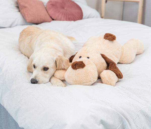Trixie Hundespielzeug Ankuschelhund Benny