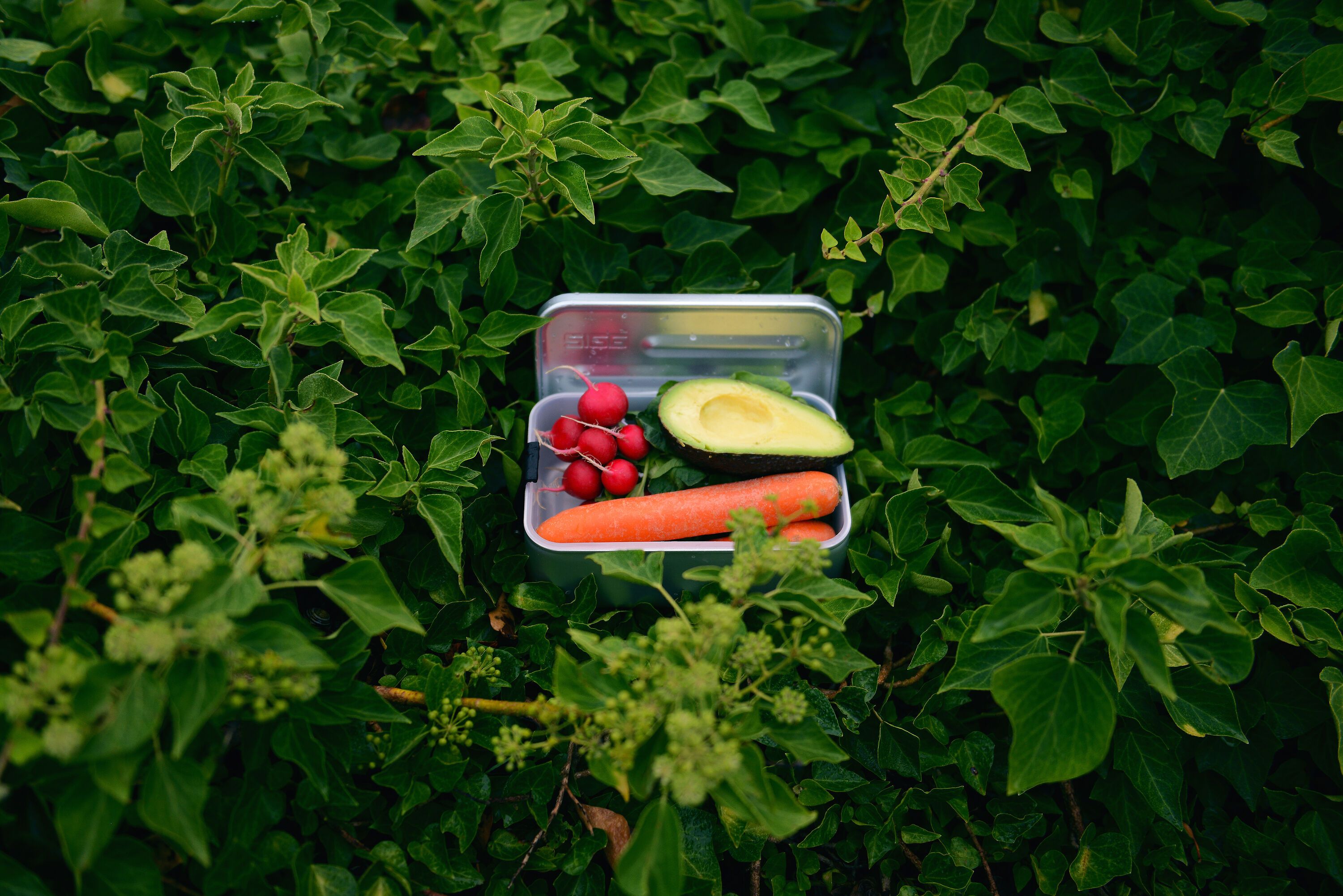 Sigg Lunchbox - Silber / B: 22.9 cm x T: 14.5 cm x H: 6.0 cm