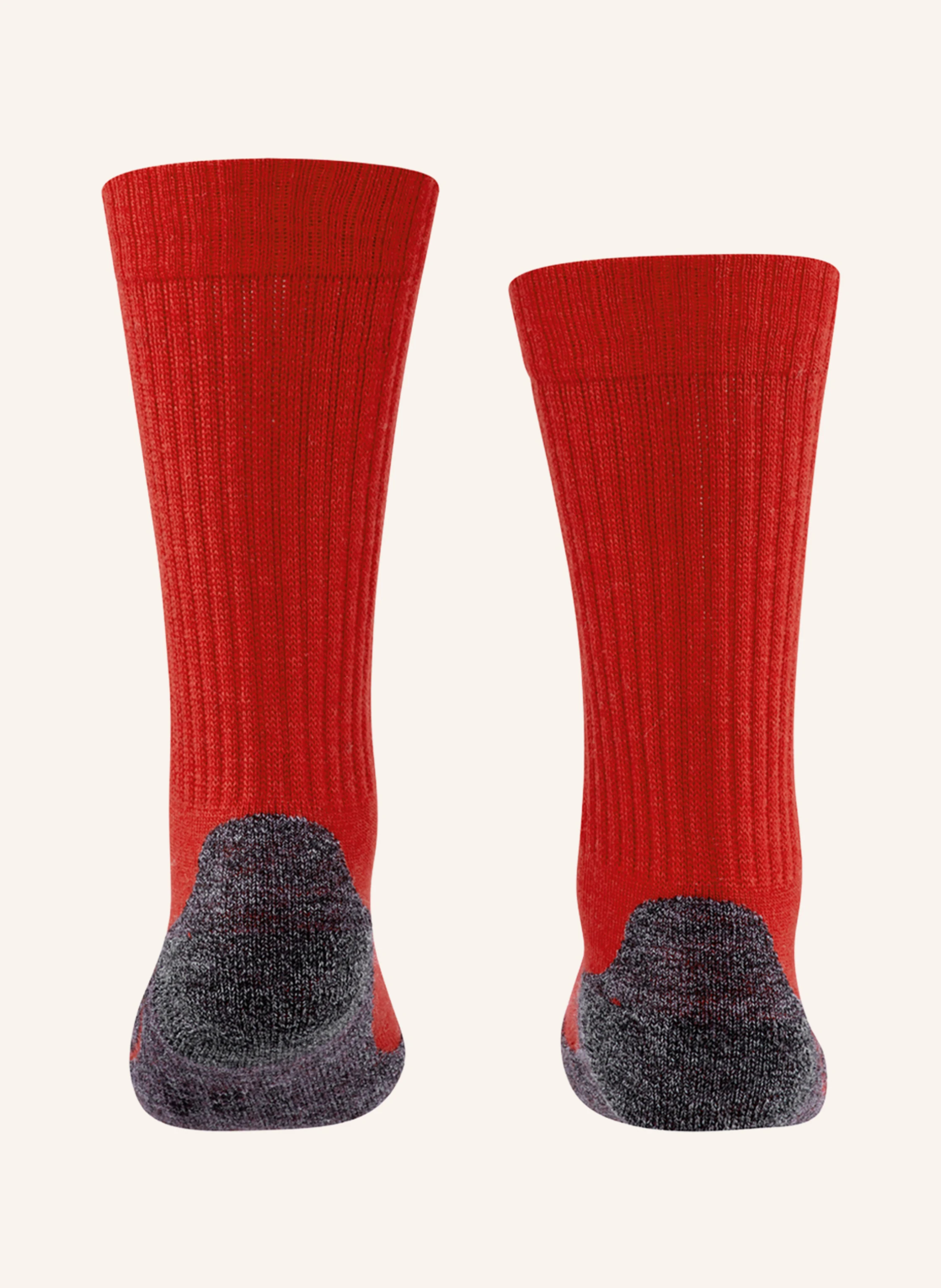 FALKE Thermo-Socken ACTIVE WARM