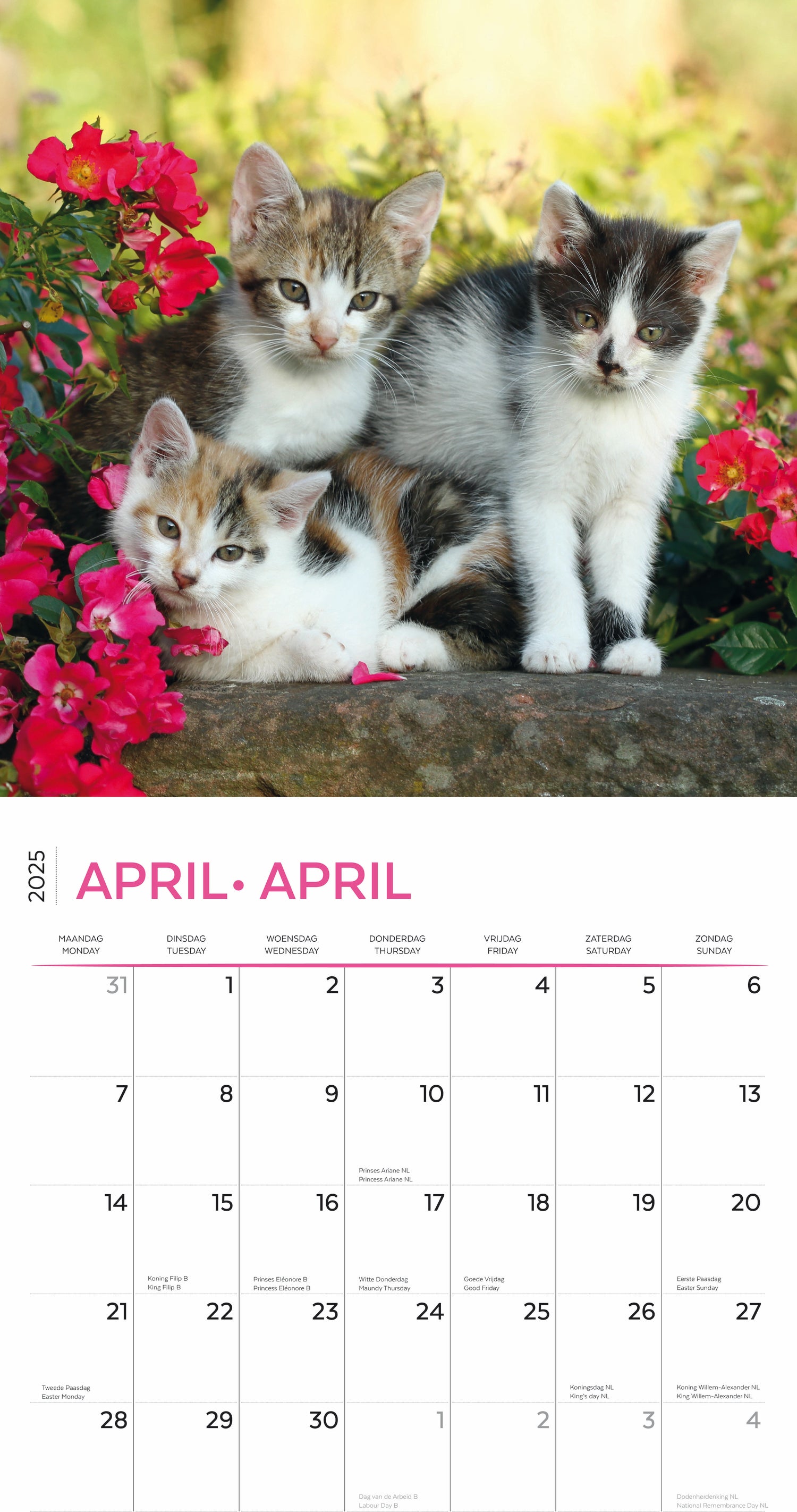 Plenty Gifts kalender i love kittens 30 x 30 x 0,5 cm