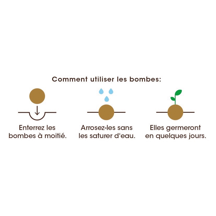 Set de 6 bombes de fleurs
