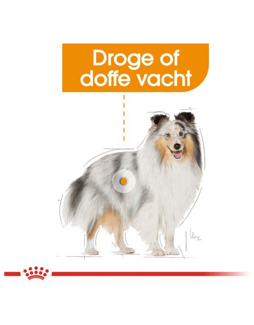 Royal Canin Coat Care Mini - Hondenvoer
