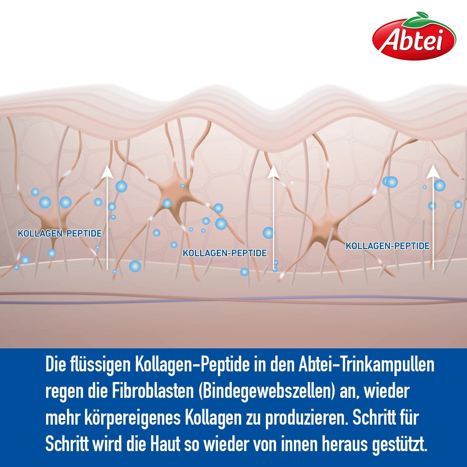 Abtei Beauty Kollagen Intensiv 5000