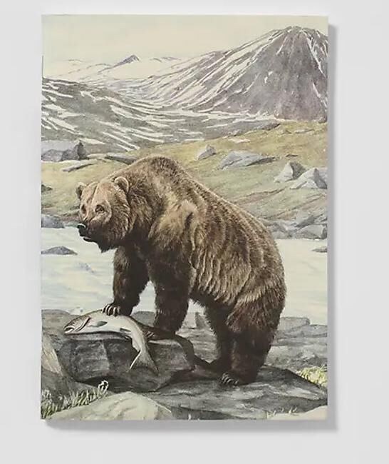 CARNET DE NOTES ANIMAUX SAUVAGES D AMERIQUE