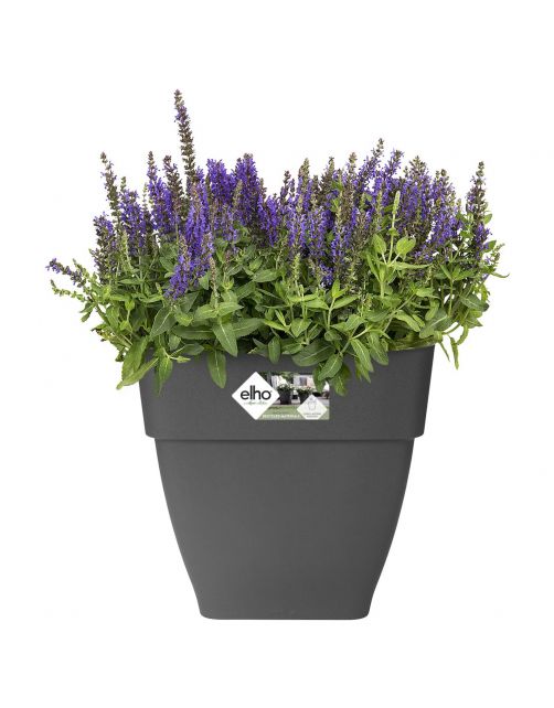 Elho Bloempot Vibia Campana Vierkant Grijs - Buitenpot