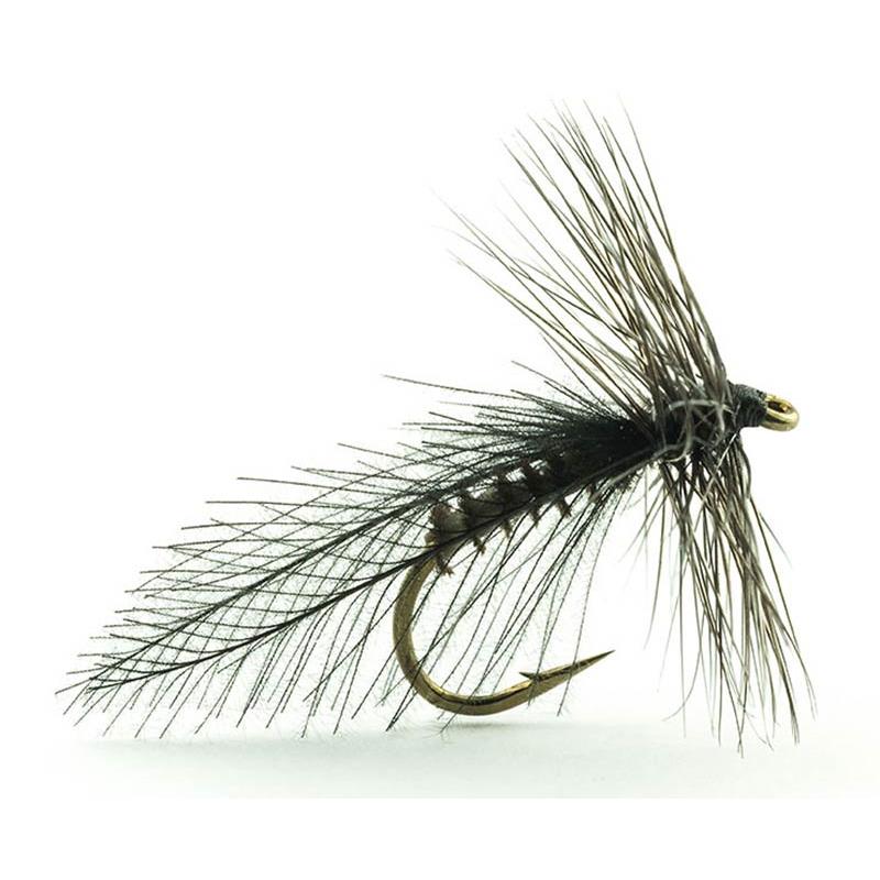 Mouche Devaux Sedge Tricoptheres Carlite Bl