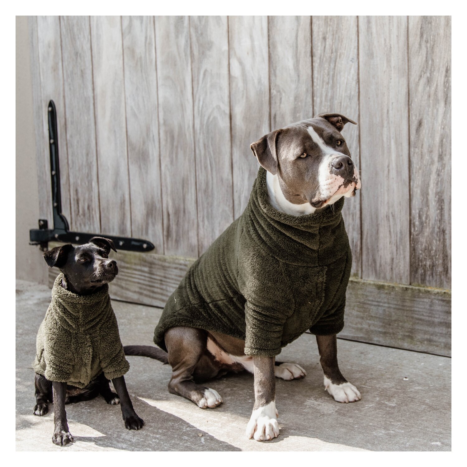 KENTUCKY DOGWEAR Hundepullover Teddy Fleece  - pine green