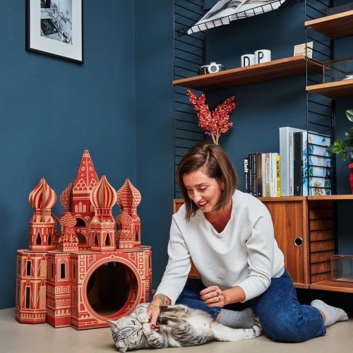 Gato Cocô Casinha da Catedral de São Basílio, Marrom/Vermelho