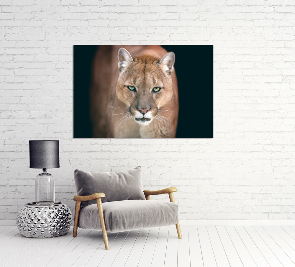 Akustikbild PUMA 80x120cm, 7kg