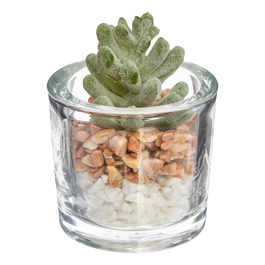 Plante artificielle et pot verre D 6.5x10cm