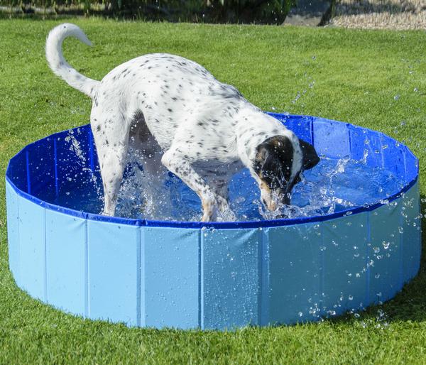 dobar® petlife Hundepool, blau, ca. Ø120/H30