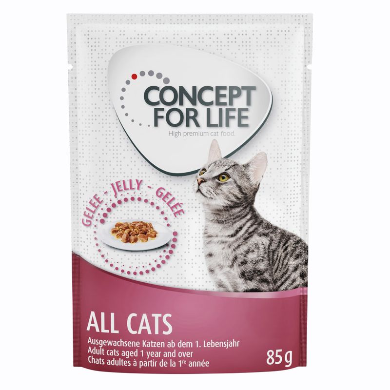 Lot Concept for Life 48 x 85 g pour chat