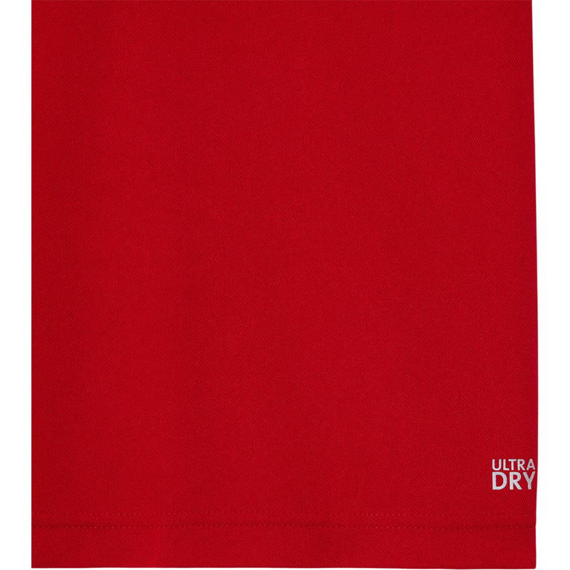 Lacoste Tennis x Novak Djokovic Fan Polo T-shirt Herre