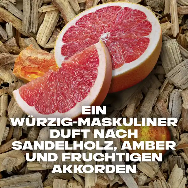 3-in-1 Duschgel & Shampoo Alaska XL