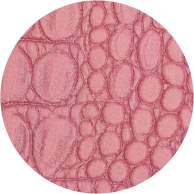 Baby-Croco - Organiseur 16 mois - 11 x 14,5 cm - vieux rose - Exacompta