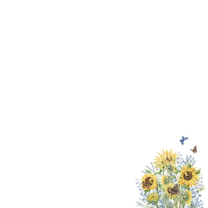 Janneke Brinkman | Verjaardagskaart | Zonnebloem