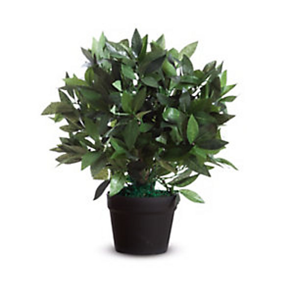 Paperflow Plante artificielle Laurier Ht. 50 cm