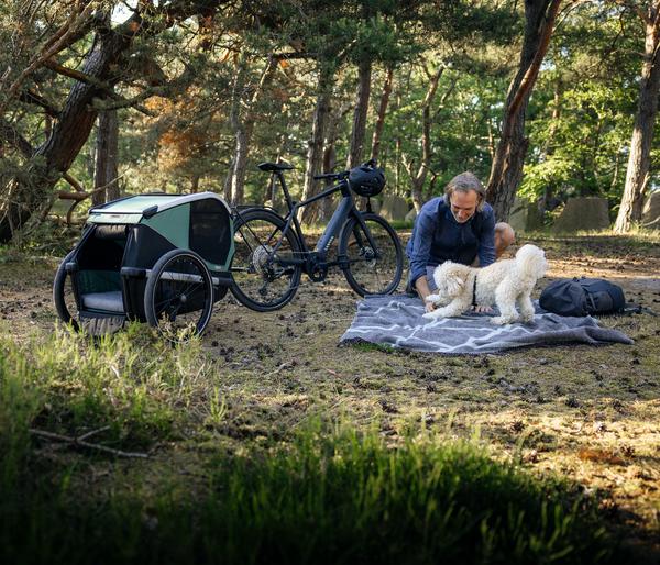 THULE® Bexey Hunde-Fahrradanhänger, Hazy