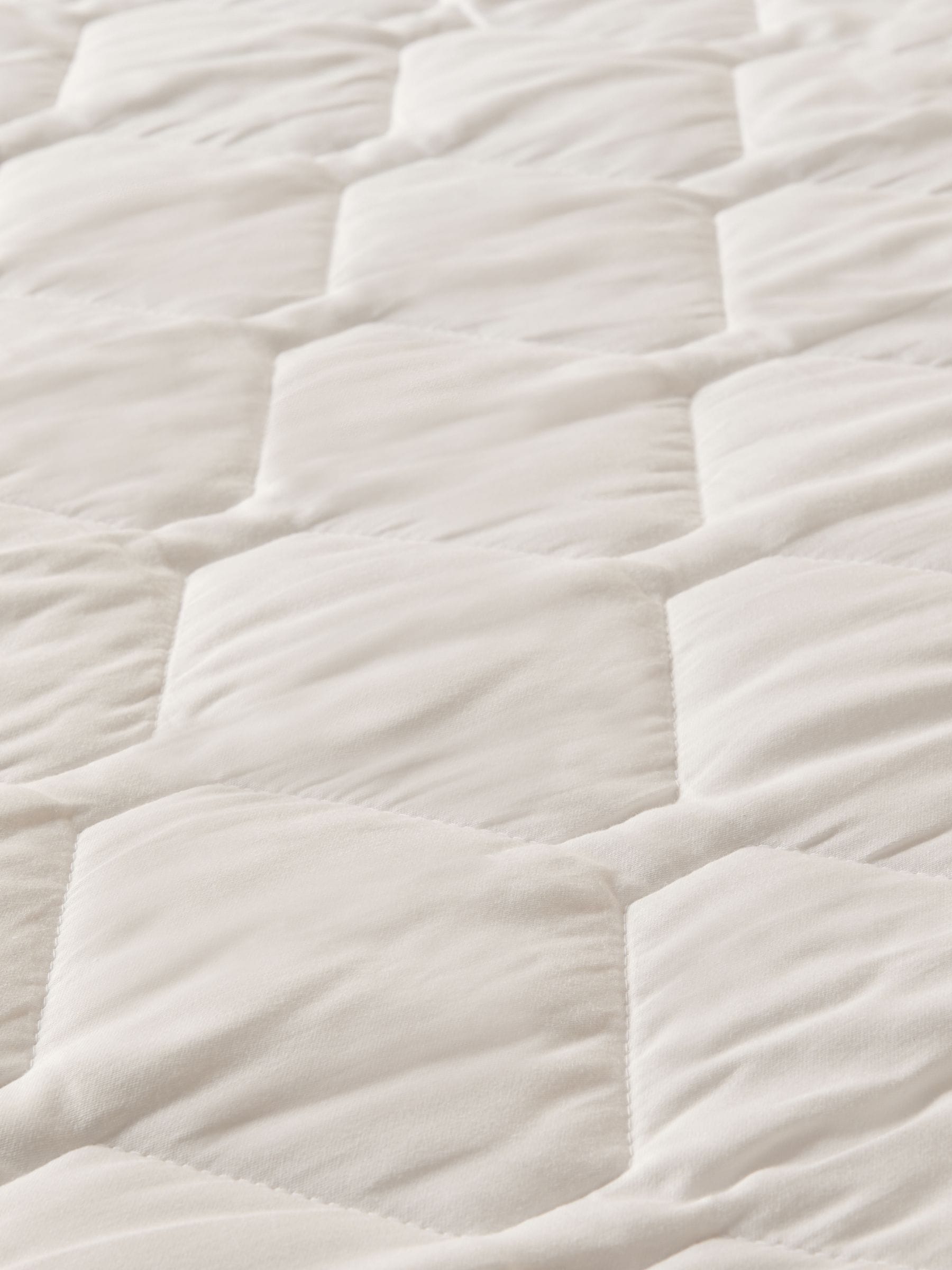 Collection Luxe 200 Thread Count 100% Cotton Protector