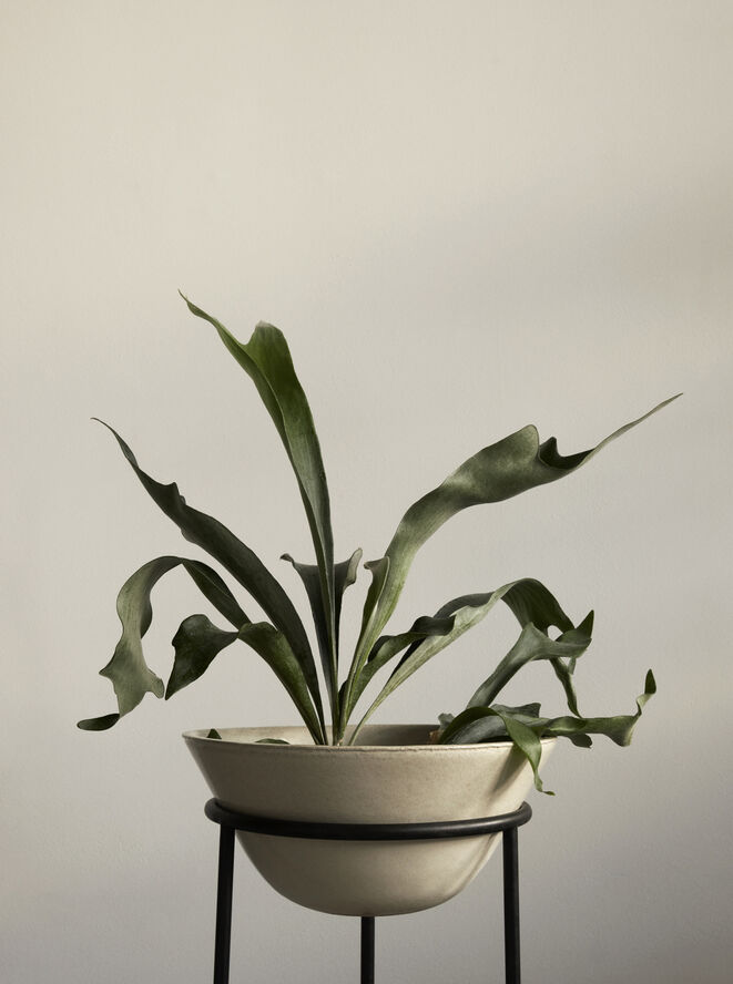 Audo Copenhagen Daiza Planter, H47/Ø35, Ivory