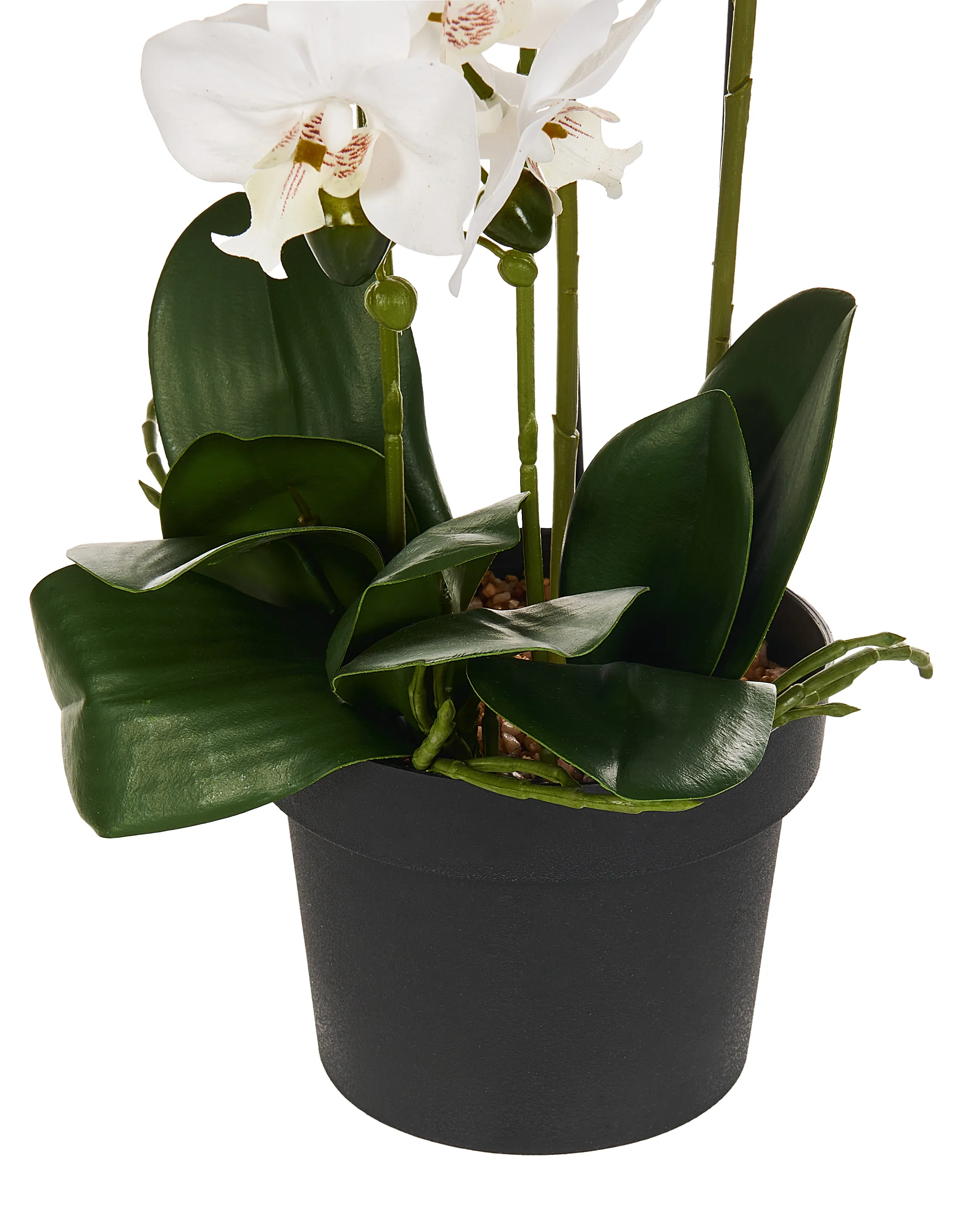 Kunstplant ORCHID 65 cm Wit