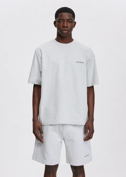 Oversized t-shirt block grijs (GRS.LME)