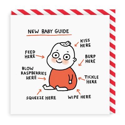 New Baby Guide