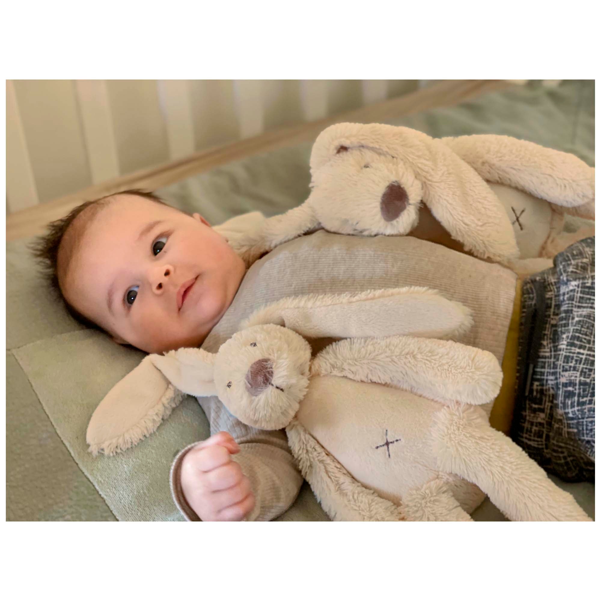 Happy Horse knuffel Rabbit Richie 38 cm beige