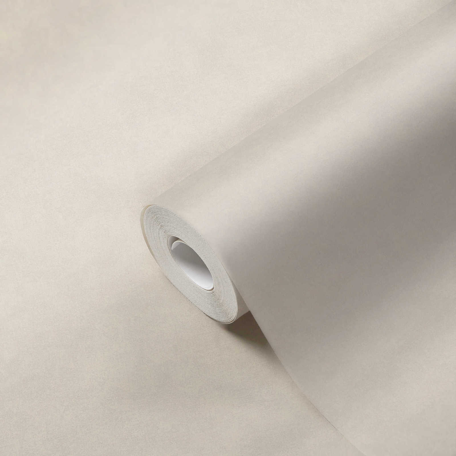 Vliestapete NEUE BUDE 2.0 Ed. 2 - creme - 10 Meter