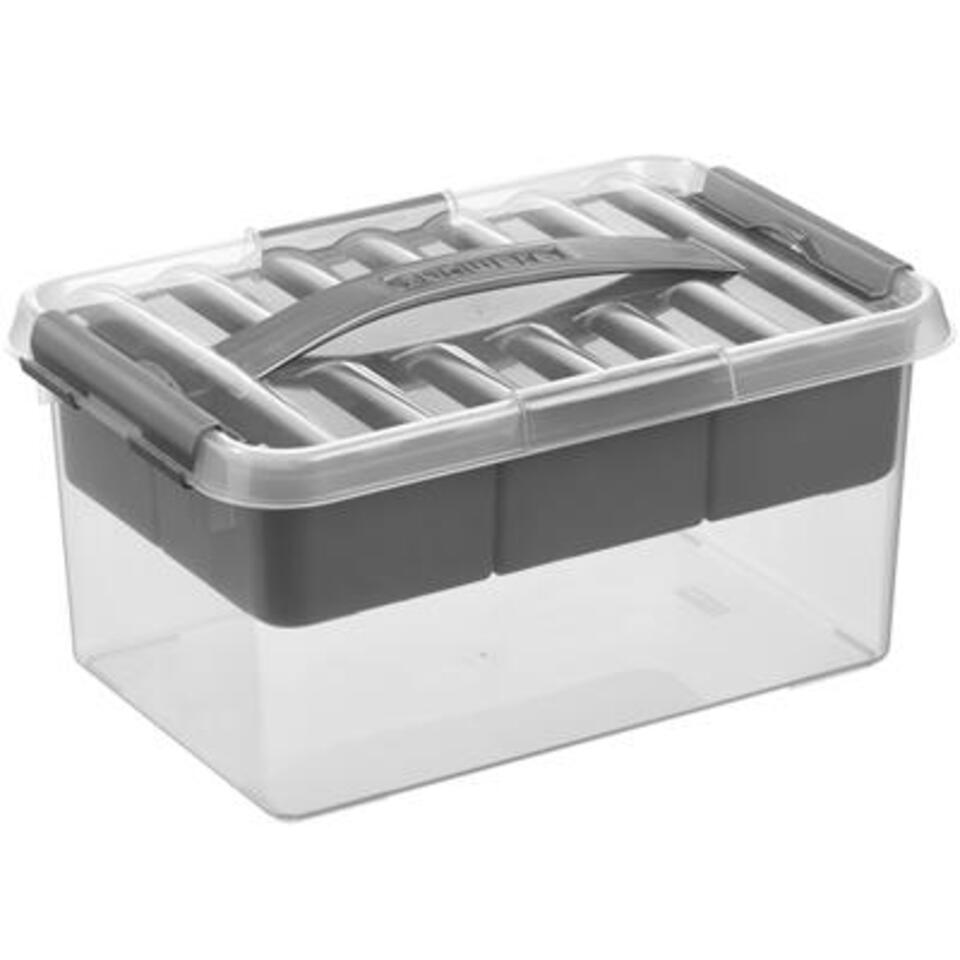 Q-line opbergbox met inzet 6L transparant metaal