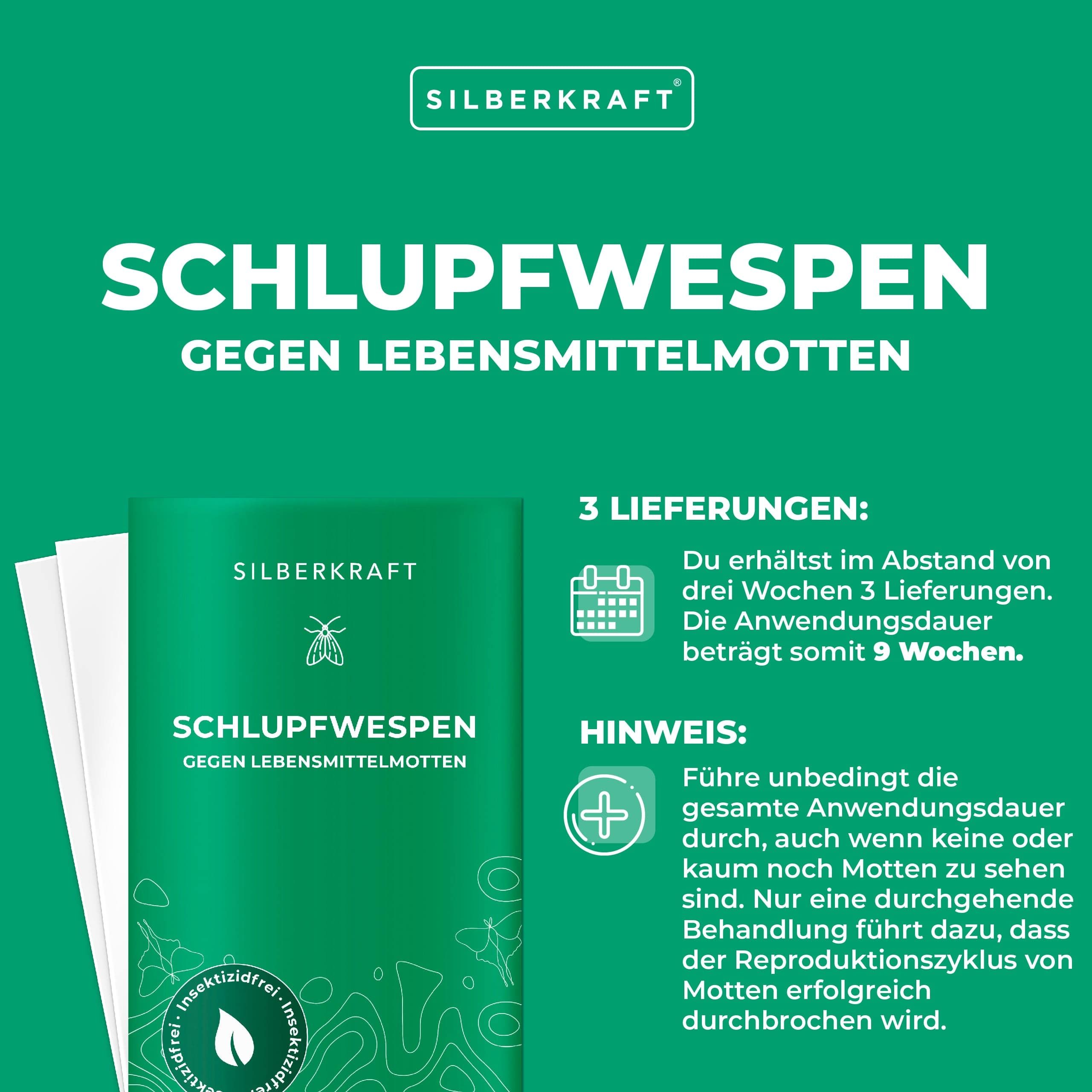 SILBERKRAFT Schlupfwespen