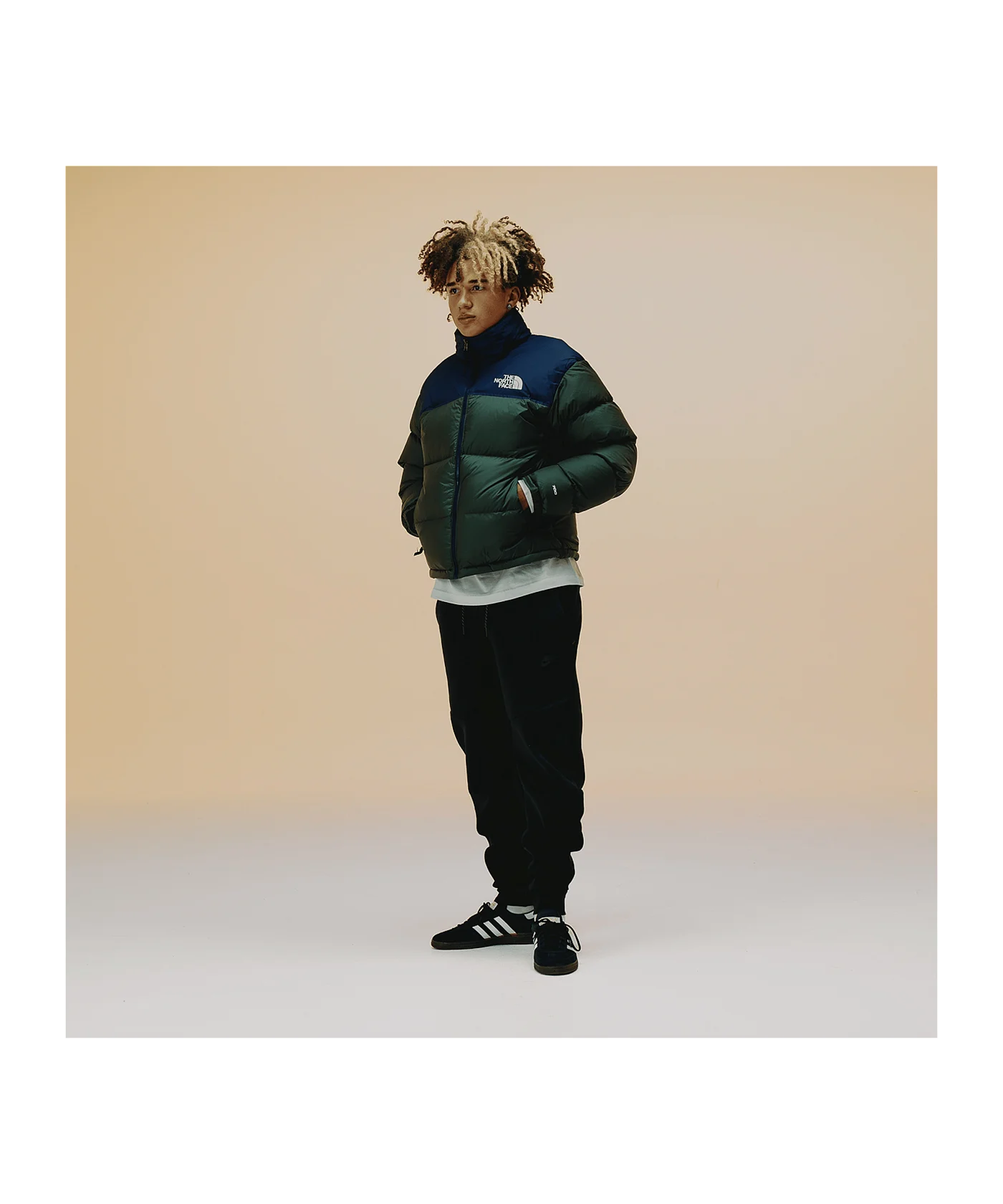 The North Face 1996 Retro Jacke Grün