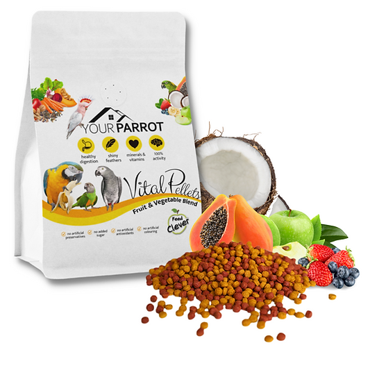 Acho que seu papagaio come frutas e vegetais.