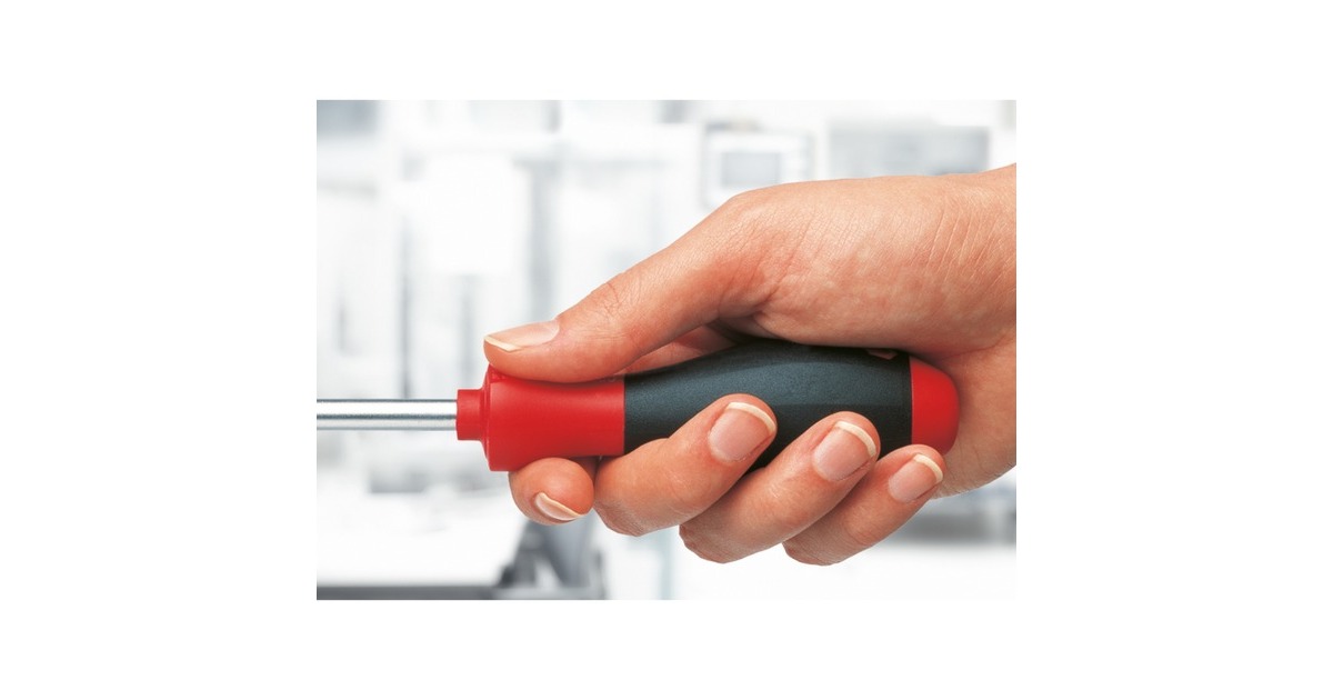 WihaGereedschapset monteur gereedschapsset  (Zwart/rood, 31-delig in gereedschapetui)
