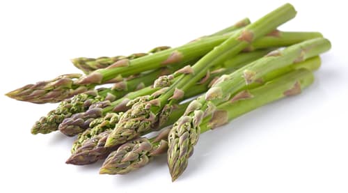 Spargel, grün, Bund