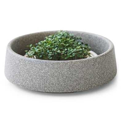 Anzuchtschale für Microgreens