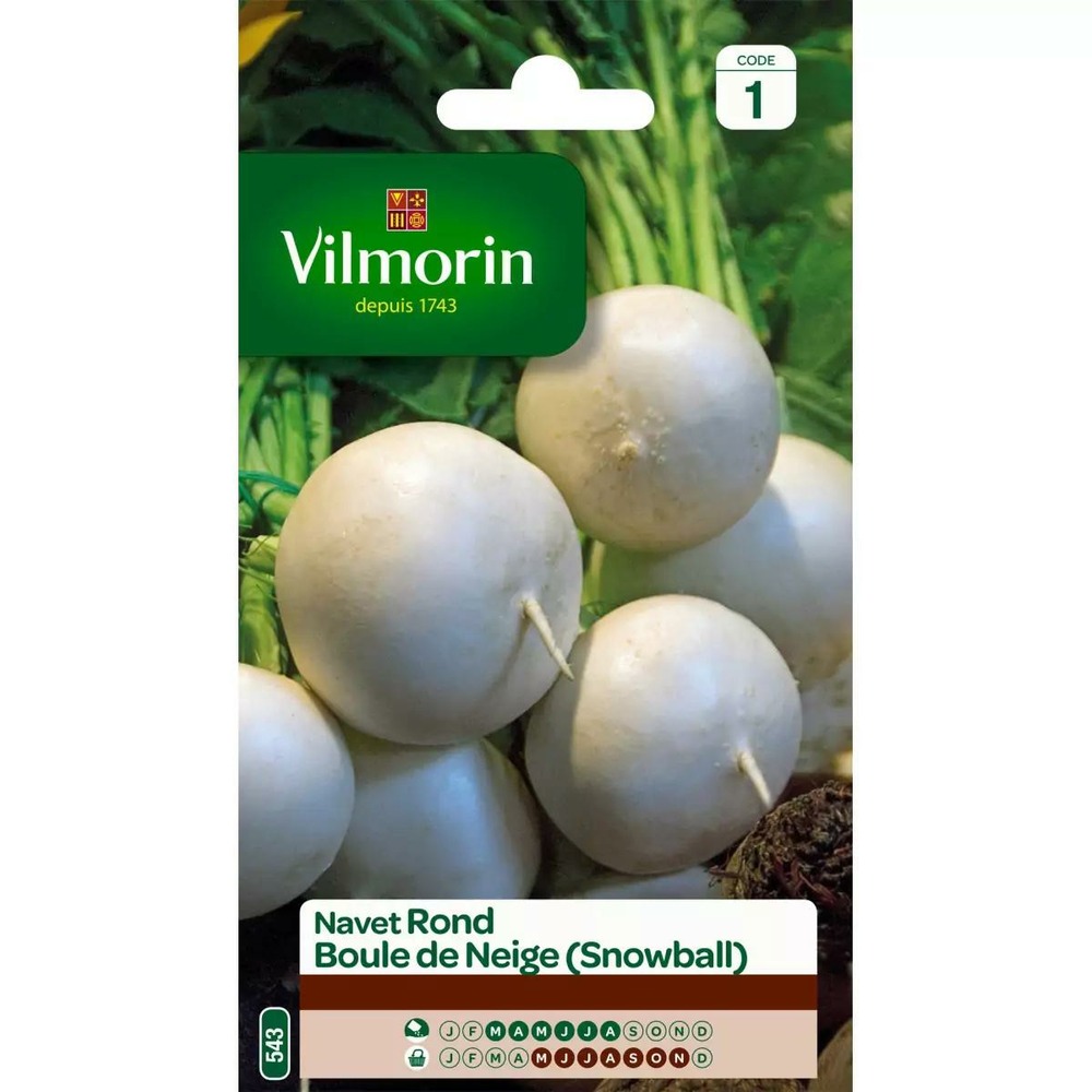 Sachet graines navet rond boule de neige ( snowball )