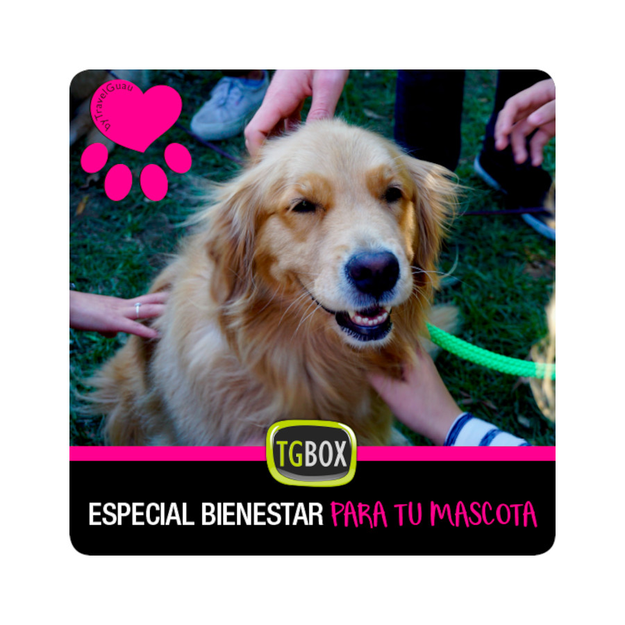 Bem-estar especial para o seu animal de estimação.
