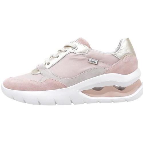CallagHan - 45811 (43055) Rosa