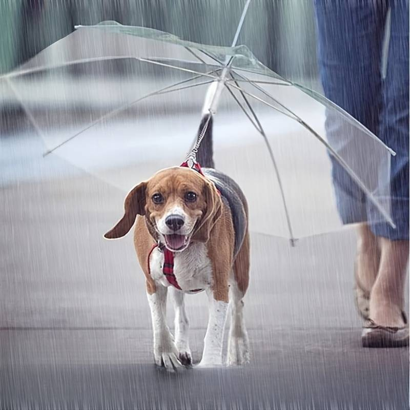 (Ø68cm) Hunde Regenschirm Haustier Outdoor Schirm Leine Regen Schutz - Transparent