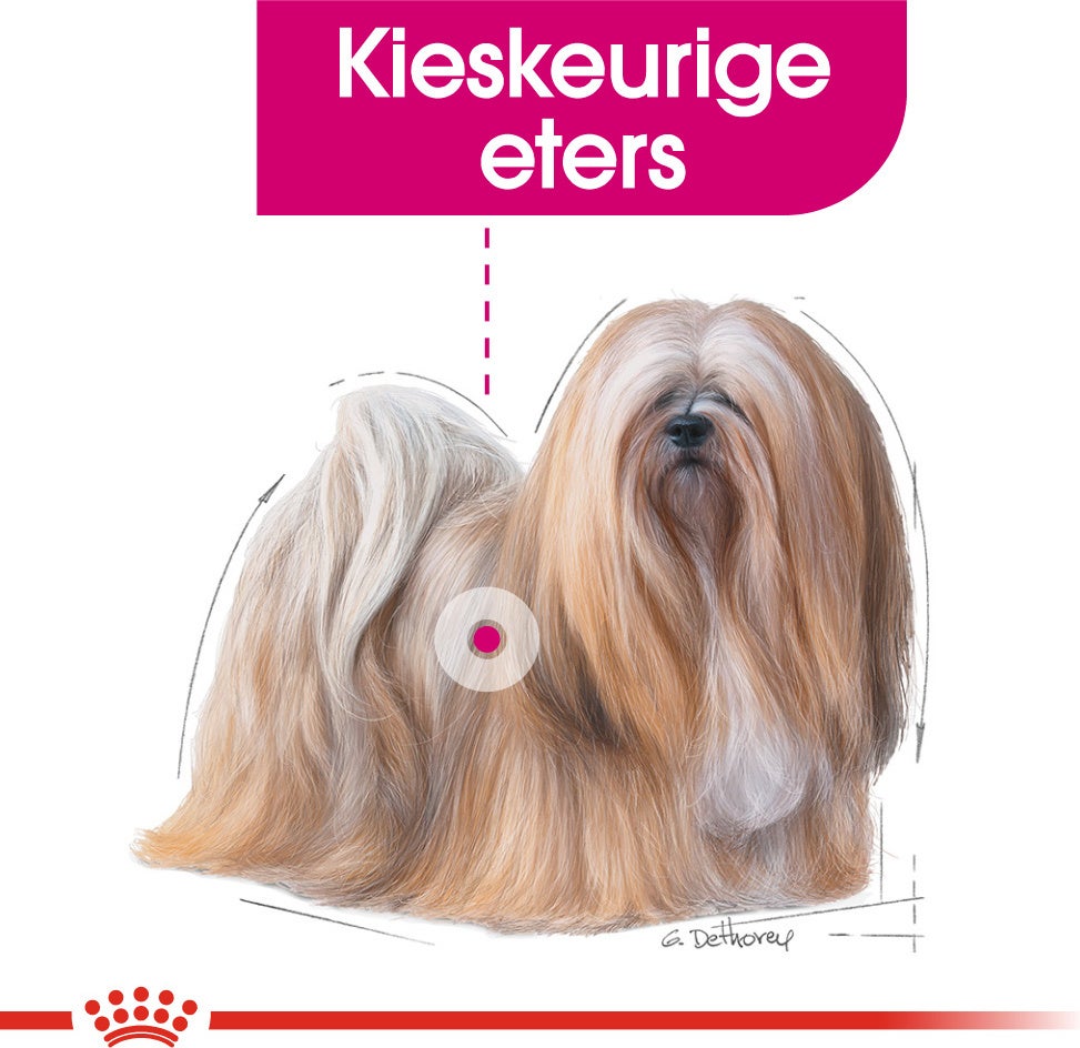 Royal Canin hondenvoer Exigent Mini 3 kg