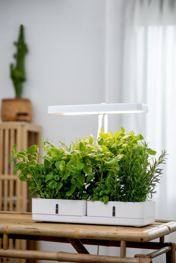 AIRAM Daisy plantelampe, 20W/835, 1450 lm