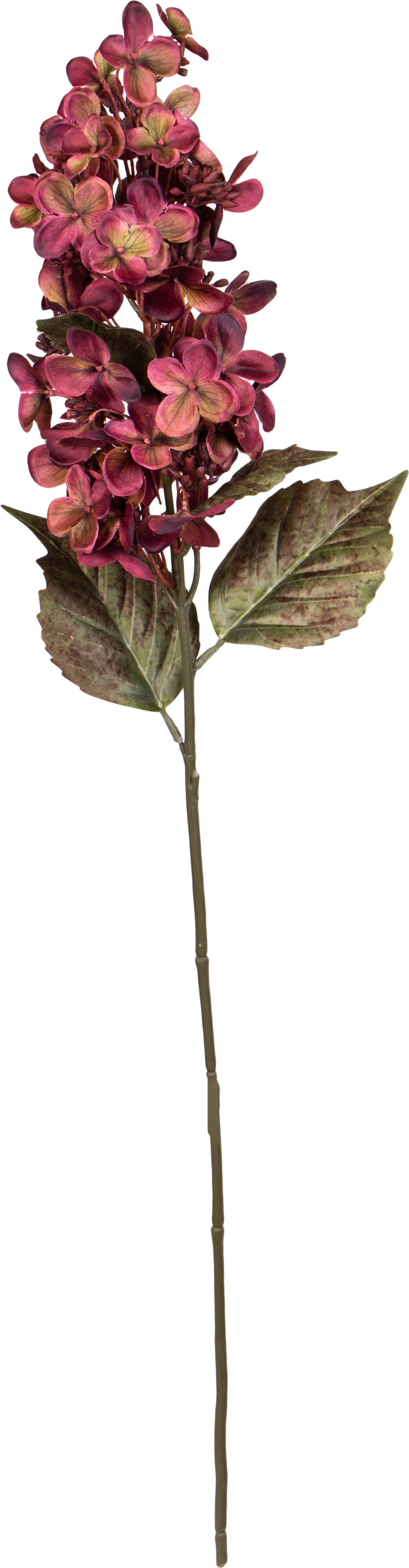 Louis Maes kunstbloem pluimhortensia rood 44 cm