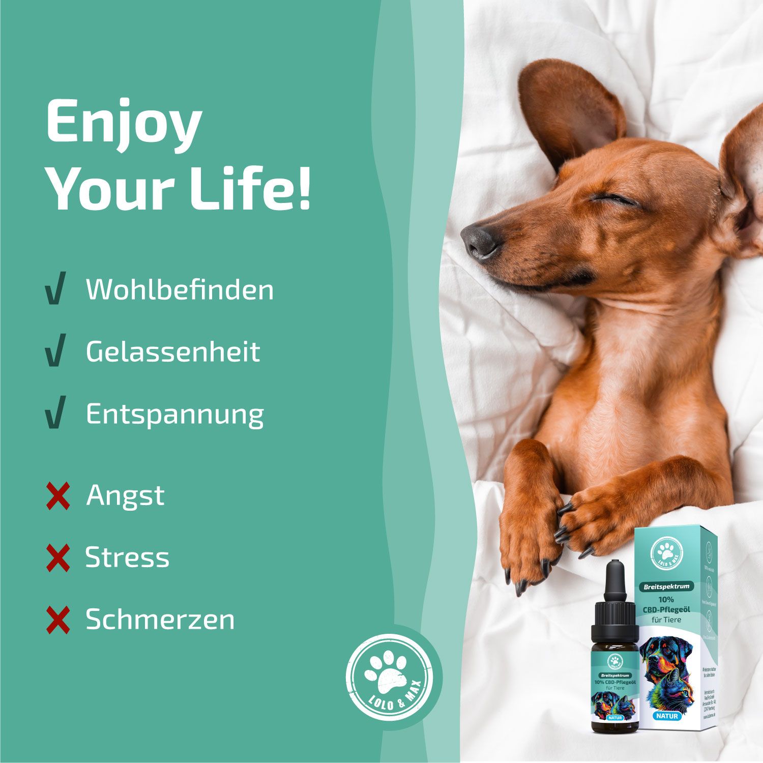 Lolo & Max - 10% CBD-Öl für Hunde & Katzen - Natur
