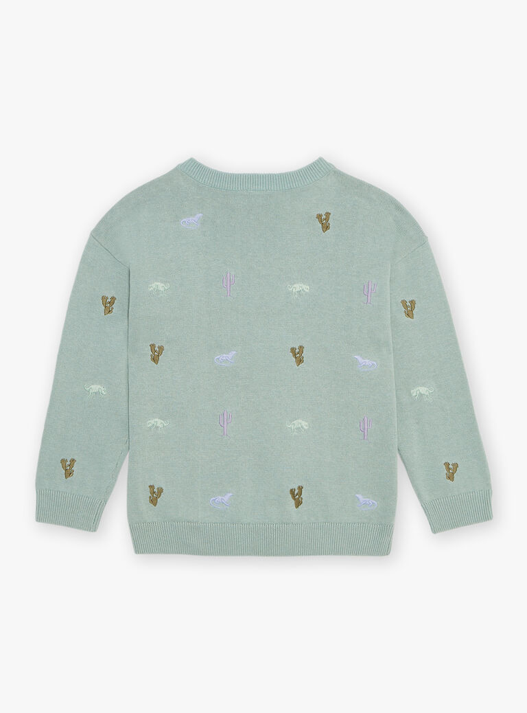 Pull vert lichen à broderies cactus et animaux du désert